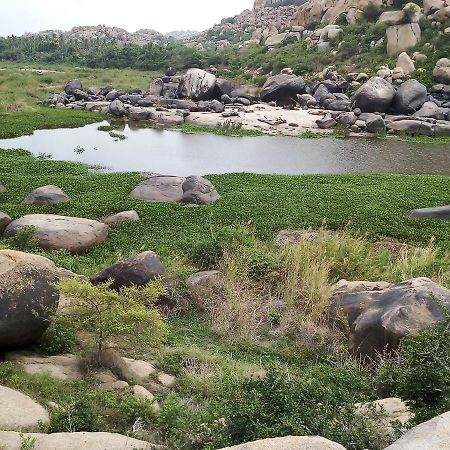 Riverside Homestay Hampi Exterior foto