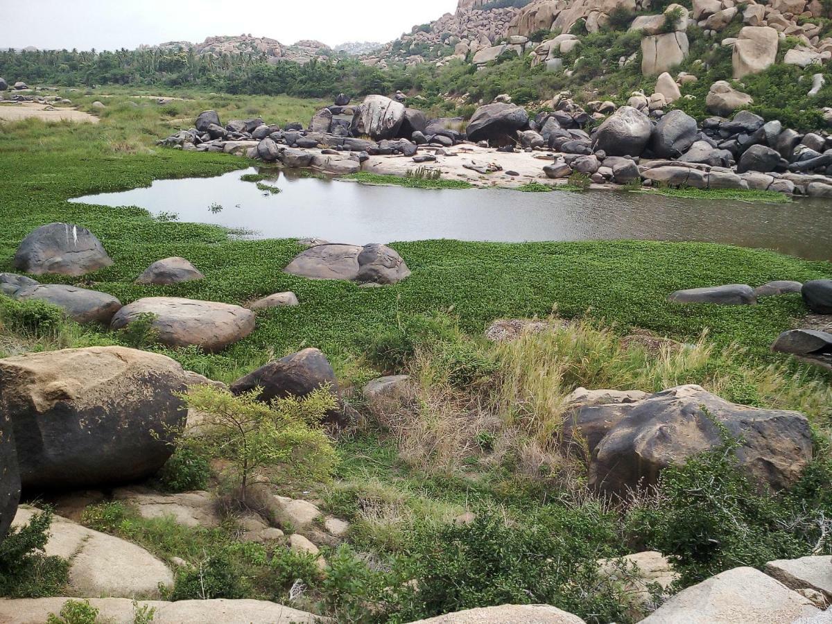 Riverside Homestay Hampi Exterior foto